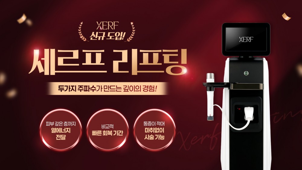 세르프 신규도입